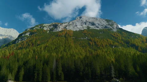 Low Angle View of Mountain Peak with Forested Base Stock Footage 320209114