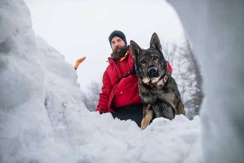 Low angle view of mountain rescue service man with dog on operation outdoors in 스톡 사진