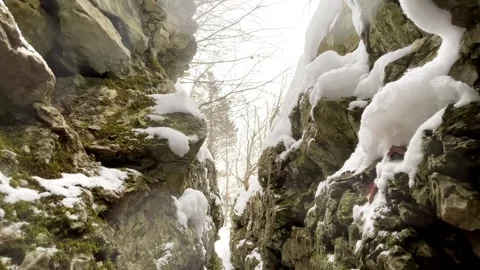 Low angle view of a narrow mossy rock crevice with snow and winter trees Stock Footage 325477949