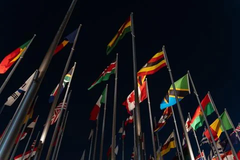 Low Angle view of National Flags of Various Countries Waving at Night in Fl.. Photos