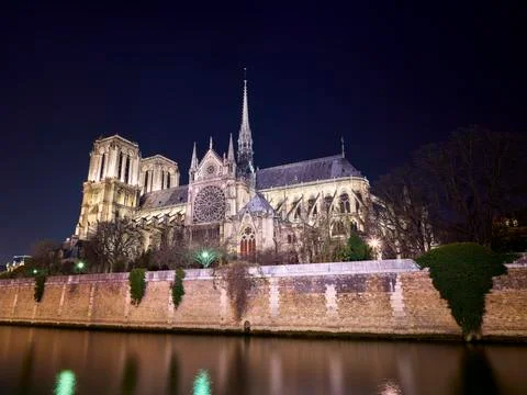 Low angle view of Notre Dame de Paris by Seine river against clear sky at night 스톡 사진