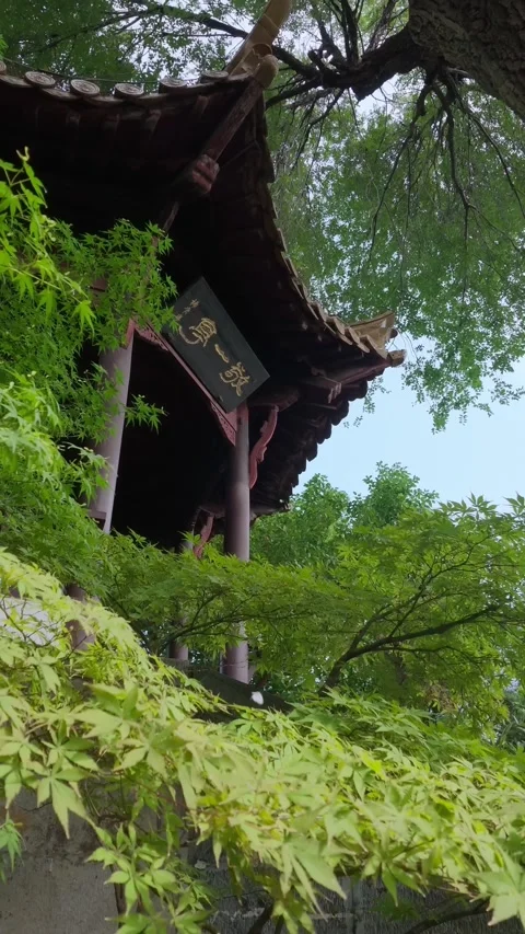 Low Angle View Of An Ornate Hall Corner With Hanging Plaque Stock Footage 346385326