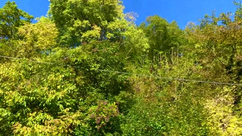 Low Angle View over City of Porlezza and Mountain in a Sunny Day Stockbeeldmateriaal 194011626