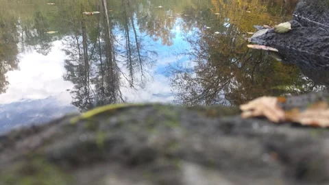 Low Angle View Over Dark Wet Rock Toward Reflective Forest River Stock Footage 348154693