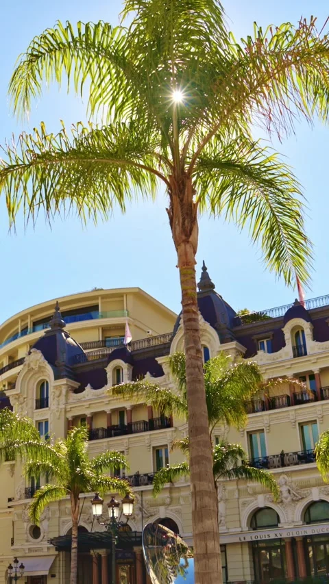 Low angle view of palm tree against luxury building in Monte Carlo Monaco. Stock Footage 339760021