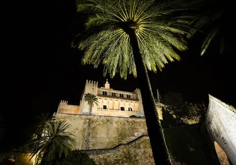Low angle view of palm tree and castle at night Stock-Fotos
