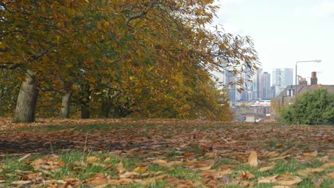 A low angle view of a park in autumn. Video stock 115947633