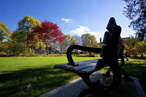 Low angle view of a park bench in a public park Stock Photos