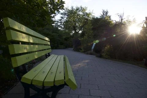 Low angle view of the park bench with lens flare Stock Photos