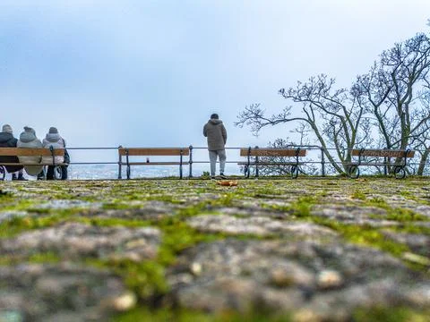 Low Angle View of Park with People on Bench Looking at Blue Sky Stock-Fotos