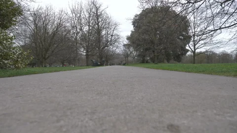 A low angle view of a pathway in a park in early spring. Stock Footage 267591377