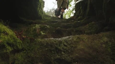 Low-angle view of a person with a backpack hiking up moss-covered stone steps Stock Footage 344206533