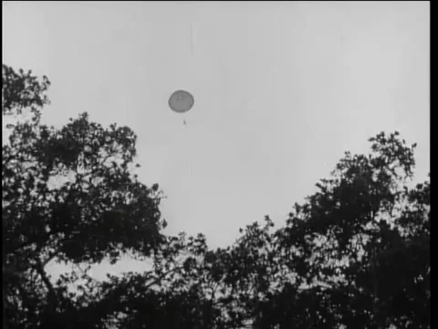 Low angle view of person parachuting against sky Video stock 260257675