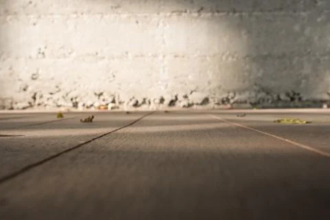 Low angle view perspective of wooden floor to blur grunge concrete wall with  Stock Photos