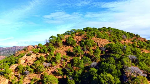 Low angle view of pine forest on red rocky mountain Video stock 330492814
