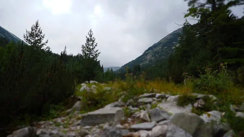 Low Angle View in Pirin Mountain Nature Background Hyperlapse with Miniature Video stock 220871646