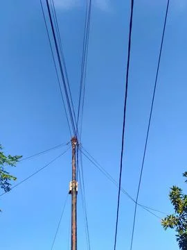 Low angle view of power line under clear blue sky and tree leaves on the side Stock Photos