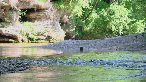Low angle view of pristine river flows through the canyon Stock Footage 219691136
