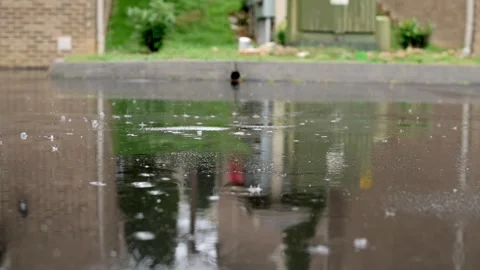 A low-angle view of a puddle reflecting buildings and greenery on a rainy day Vidéo 280007292