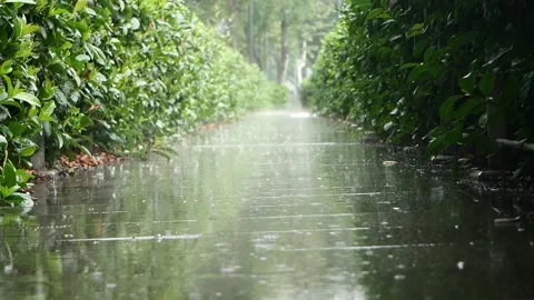 Low angle view of rain drops on a footpath in a park in istanbul Vidéo 280633029