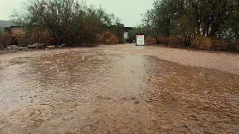 Low Angle View Of Rain Falling And Running At Desert Preserve In Scottsdale AZ Stock Footage 345908231