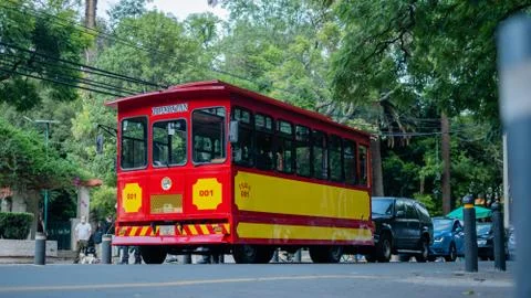 Low Angle View of a Red and Yellow Trolley Car Surrounded by Trees Stock Photos