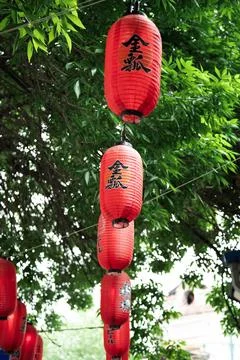 Low Angle View Of red lantern against green leaves . Vertical shot Stock Photos