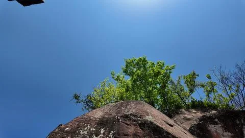 Low angle view of red rock ledge and green tree against blue sky Stock Photos