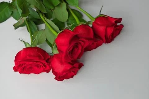 Low Angle View of Red Rose Bouquet on a Gray Background. Copy space right bottom Stock Photos