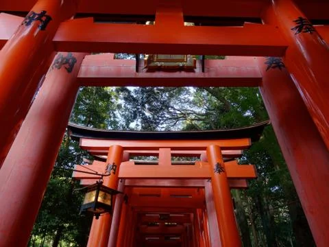 Low angle view of the red Torii gates at the Fushimi Inari Shrine in Kyoto Stock Photos