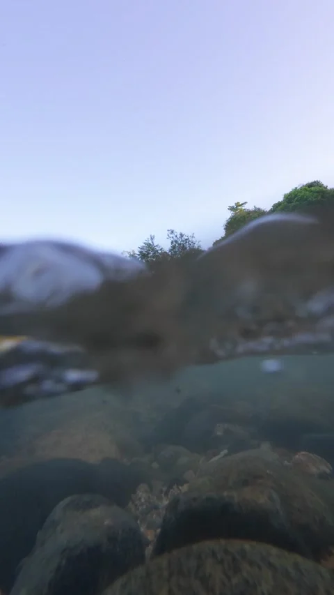 Low Angle View of River Flowing Through Lush Forest Stock Footage 332860957