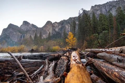 Low Angle View of River Passing Through the Yosemite Valley with Large Mounta Stock Photos