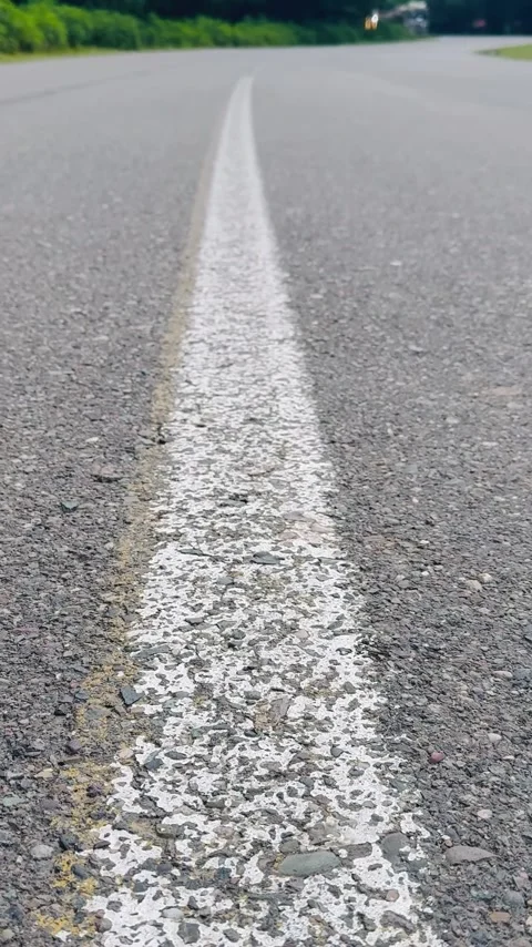 Low-angle view of a road line in a forest, Vídeos de archivo 336849228