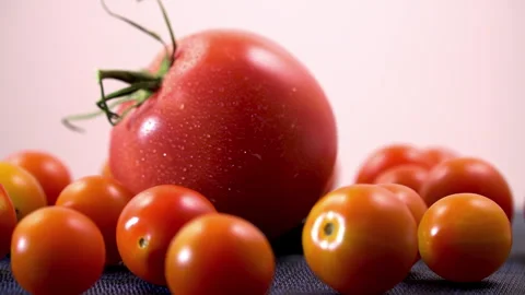 Low Angle View of Rotating Large Slicing Tomato and Tiny Orange Cherries Vídeo Stock 344862297