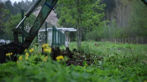 Low angle view of rusted excavator arm over stump with wildflowers Stock-Footage 337582248