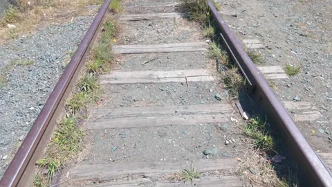 Low angle view of rusted train tracks overgrown with wild grass Stock Footage 340118325