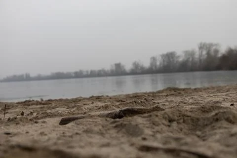 A low-angle view of a sandy shore overlooking a calm body of water shrouded i Stock Photos