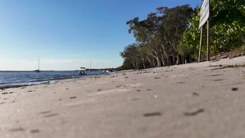 Low Angle View of Sandy Shoreline with Forest and Calm Ocean Stock Footage 345462901