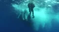 Low angle view of a scuba diver entering the water from a boat HD Footage