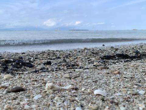 Low Angle View of Seashells on Sandy Shoreline at Tanjung Lesung Beach 库存照片