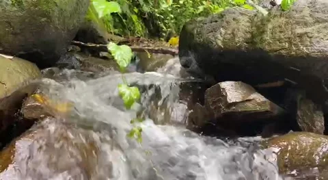 Low angle view of sendang waterfall Stock Footage 239598060