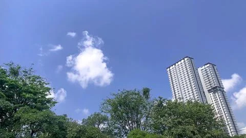 Low Angle View of Skyscraper Buildings and Green Trees Under Blue Sky Fotos Stock