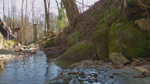 Low-angle view of small forest stream with people enjoying sunny day Stock-Footage 280886250