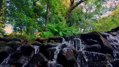 Low angle view of a small forest waterfall cascading over mossy wet rocks in Anc Stock Footage 340431090