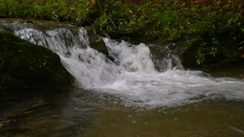 Low angle view of small pristine and clean stream flowing downstream Stock Footage 140802271