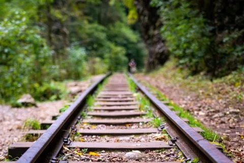 Low angle view of small railway tracks in mountain region with shallow depth  Stock-Fotos