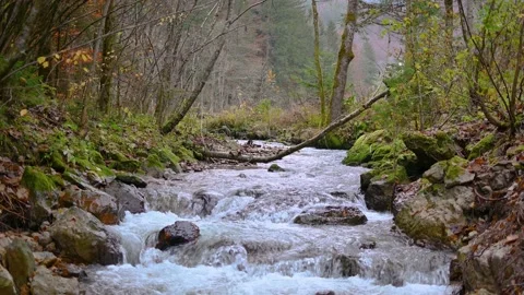 Low angle view of small stream flows over rocky cascades Stock Footage 143159240