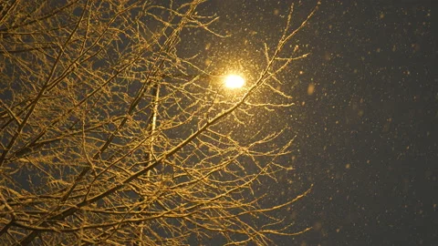 A low angle view of snowfall at night. Stock Footage 226068108
