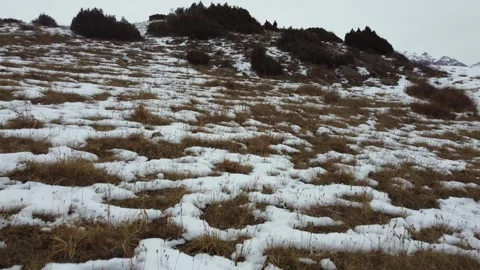 Low angle view of snowy mountain slope with dry grass and hikers silhouettes 库存影片 334326617