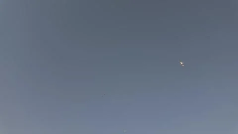 Low Angle View of Soaring Gulls Stock Footage 310946058